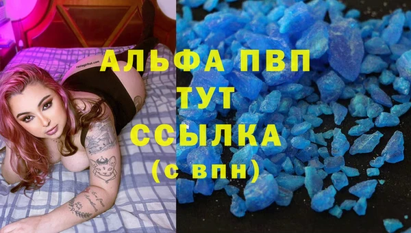 шишки Кострома