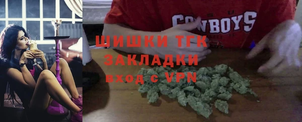шишки Кострома