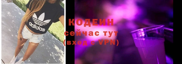 шишки Кострома