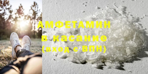 шишки Кострома