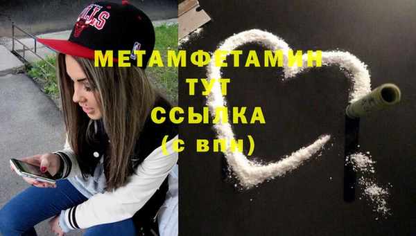 шишки Кострома