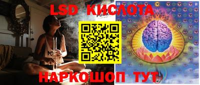 шишки Новокубанск