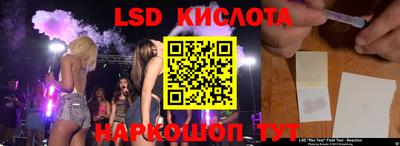 шишки Новодвинск
