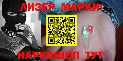 шишки Новодвинск