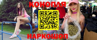 шишки Новокубанск