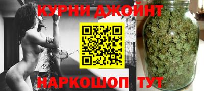 шишки Новодвинск