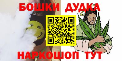 шишки Новокубанск