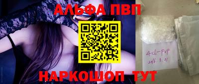 шишки Новодвинск