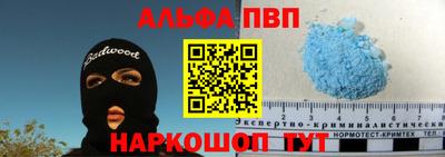 шишки Новодвинск