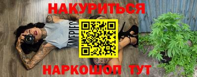 шишки Новокубанск