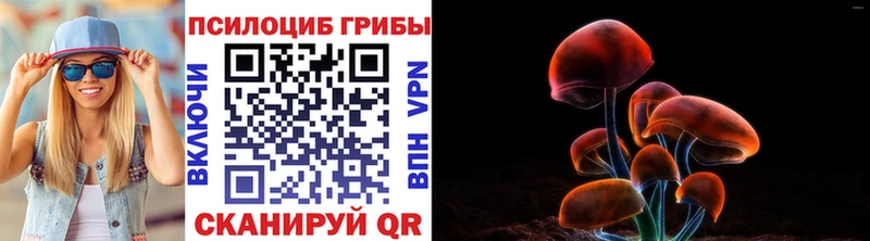ссылка на мегу зеркало  Барабинск  Псилоцибиновые грибы мухоморы 