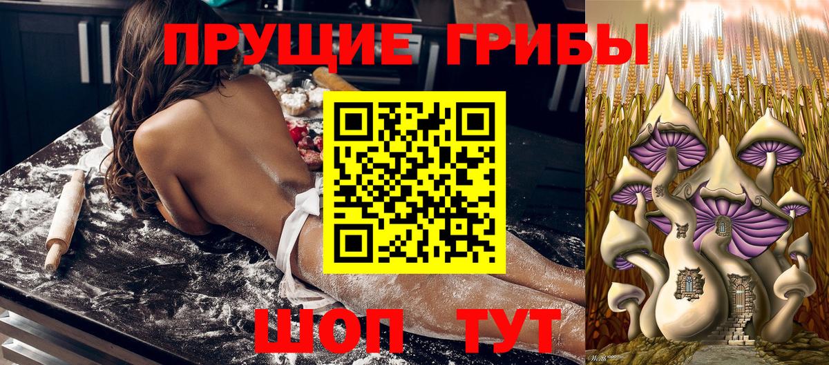 Барабинск  Псилоцибиновые грибы Cubensis  купить   Вход с VPN 